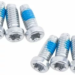 SRAM Kit De Vis De Manivelle Direct Mount/AXS Spider T20